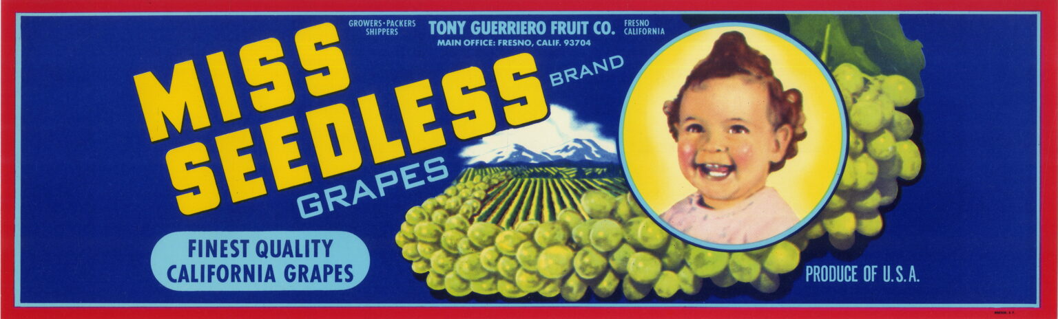 Miss Seedless